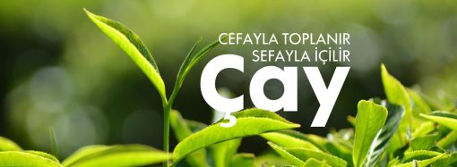 Çayın Türkiye Serüveni