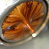 Yeni başlayanlar için: Espresso nasıl içilir?