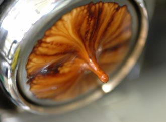 Yeni başlayanlar için: Espresso nasıl içilir?