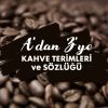 Profesyoneller için A’dan Z’ye Kahve Terimleri ve Sözlüğü